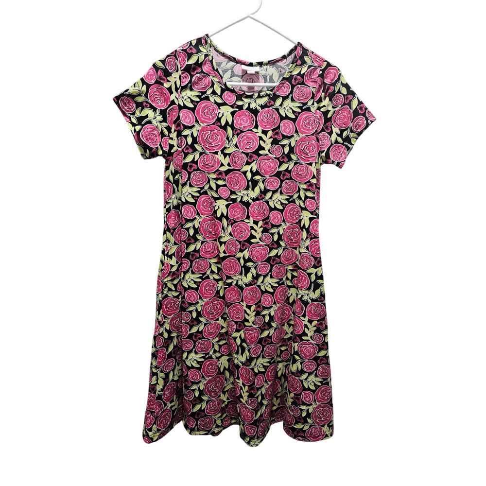 Lularoe Jessie Floral Pink Roses Dress Size XS A line